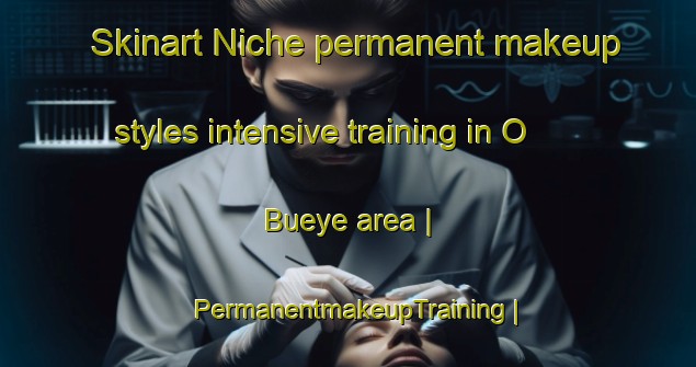 Skinart Niche permanent makeup styles intensive training in O Bueye area | PermanentmakeupTraining | PermanentmakeupClasses | SkinartTraining-Spain